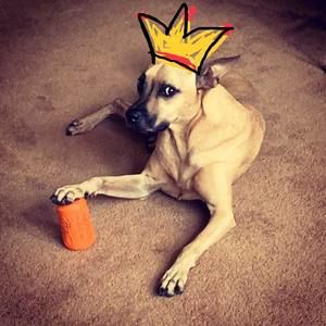 Meet your Posher, Ania